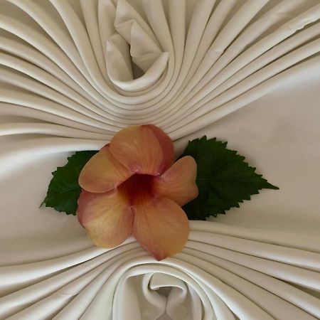 Island Bungalow ลาดิก ภายนอก รูปภาพ