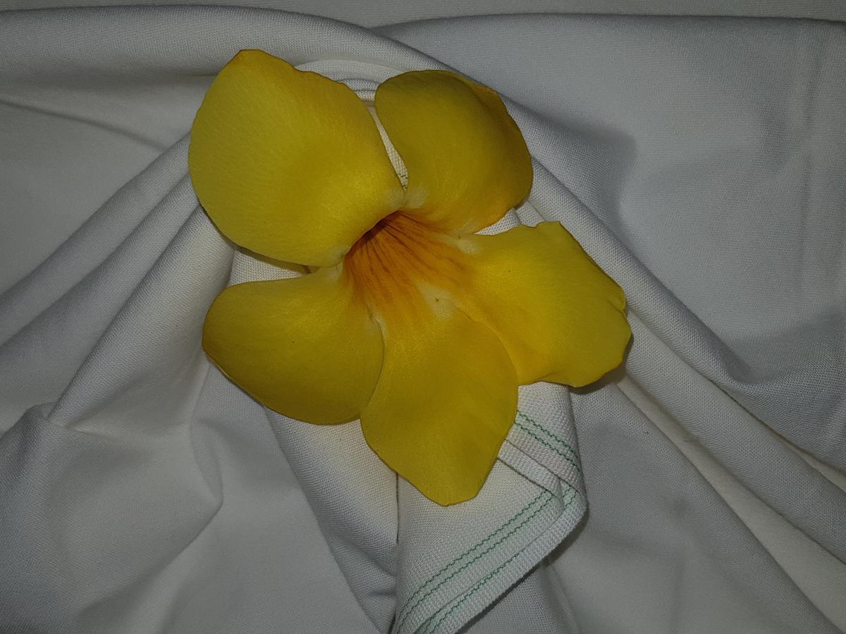 Island Bungalow ลาดิก ภายนอก รูปภาพ