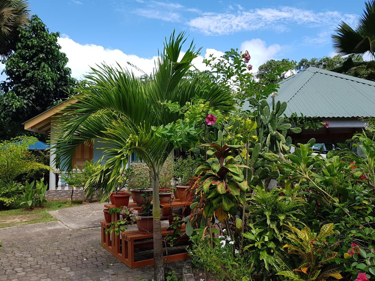 Island Bungalow ลาดิก ภายนอก รูปภาพ