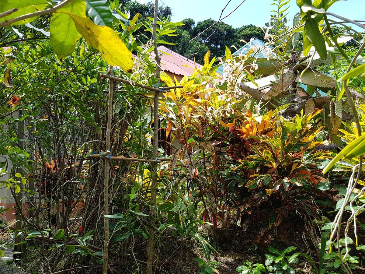 Island Bungalow ลาดิก ภายนอก รูปภาพ