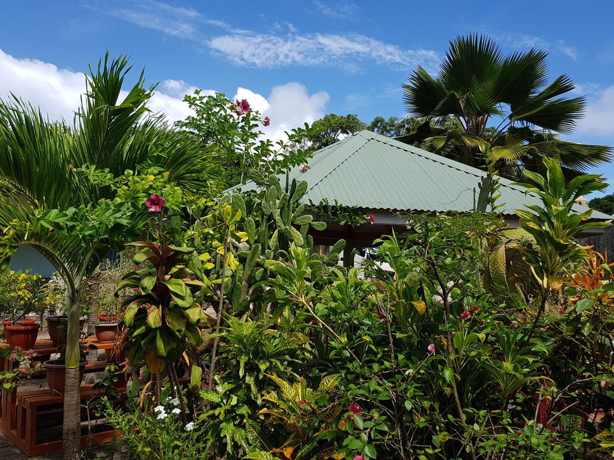 Island Bungalow ลาดิก ภายนอก รูปภาพ